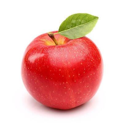 Südharzer Obsttage2026 Zweitägige Schulung zum Jungbaumschnitt / Erziehung