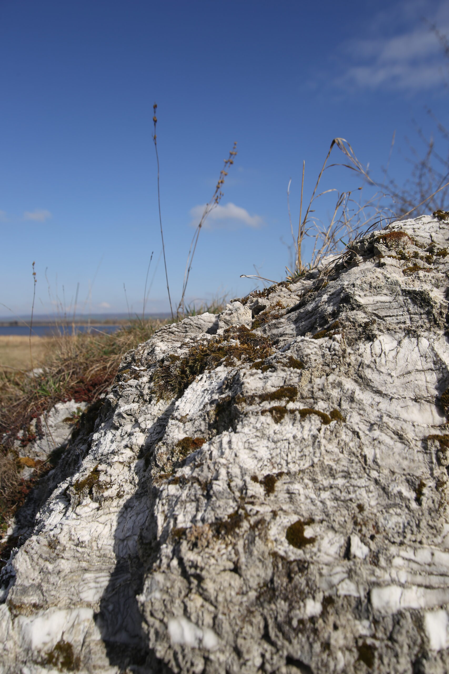 „Auf den Spuren der Numburghöhle“