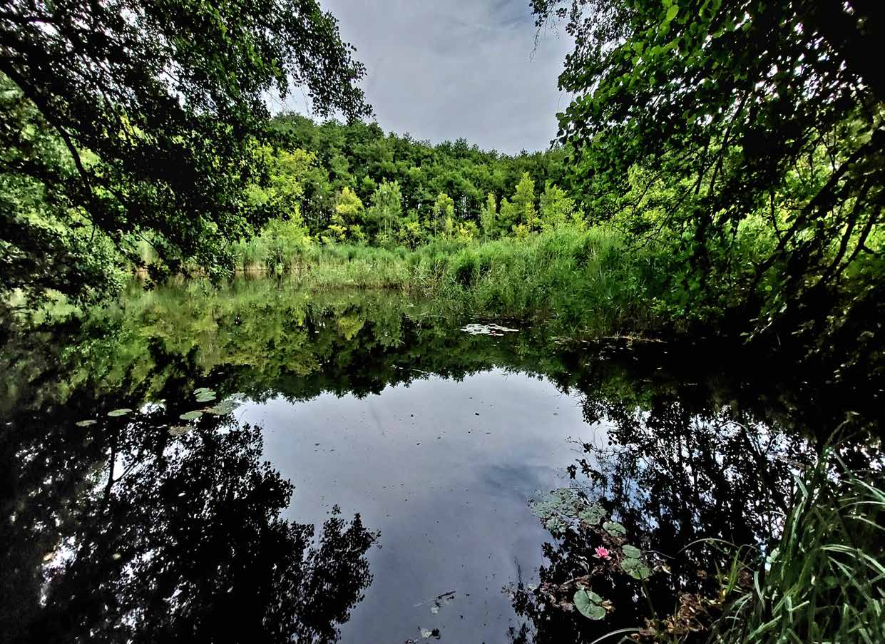 WIR WANDERN WIEDER!