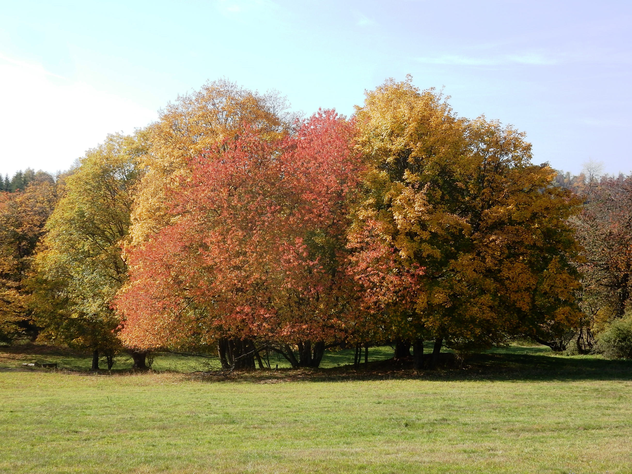 Veranstaltungen Oktober 2025