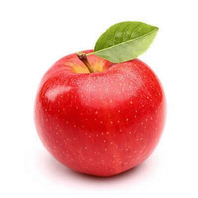 Südharzer Obsttage 2026 Schulung zur Obstbaumveredelung im Streuobstzentrum Tilleda